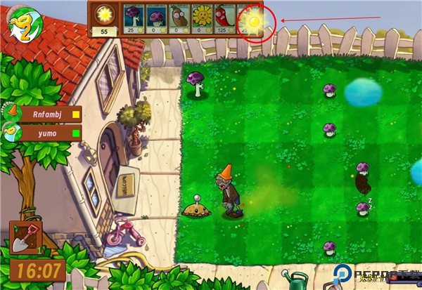 植物大战僵尸生态版