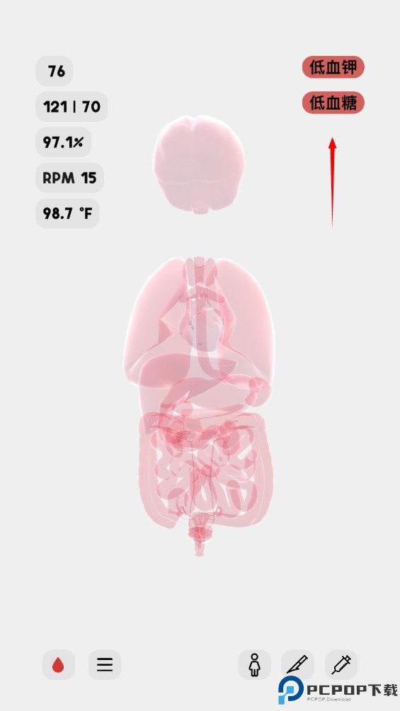 生命人体模拟器life汉化版