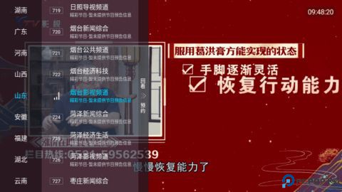 青松影院电视版