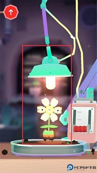 托卡实验室植物