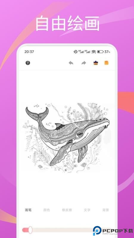 圆头绘画软件免费下载