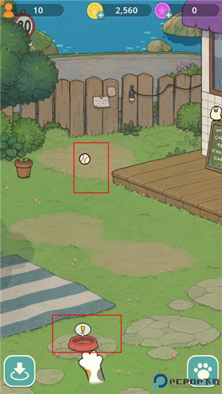 神秘猫咪字典中文版