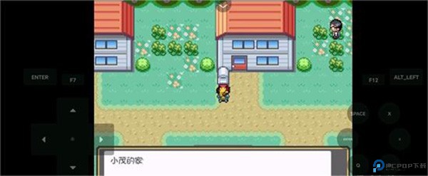 口袋妖怪燃之智汉化版19