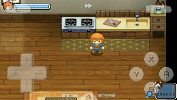 牧场物语双子村安卓版免费下载