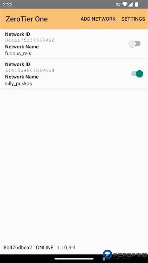 Zerotier One最新版