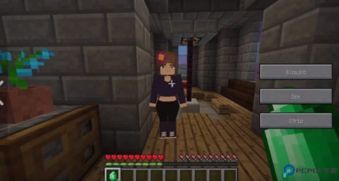 珍妮冒险基岩版免费下载