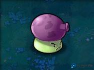 植物大战僵尸Hd版攻略