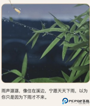 种草壁纸