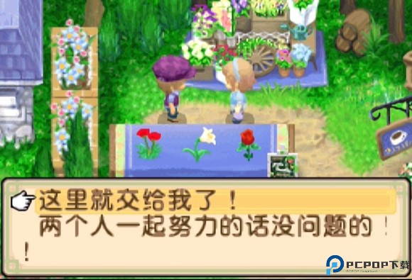 牧场物语双子村手机版6