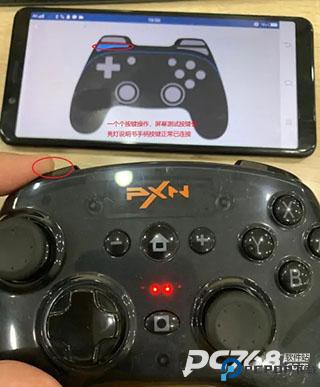 小鸡模拟器金手指版