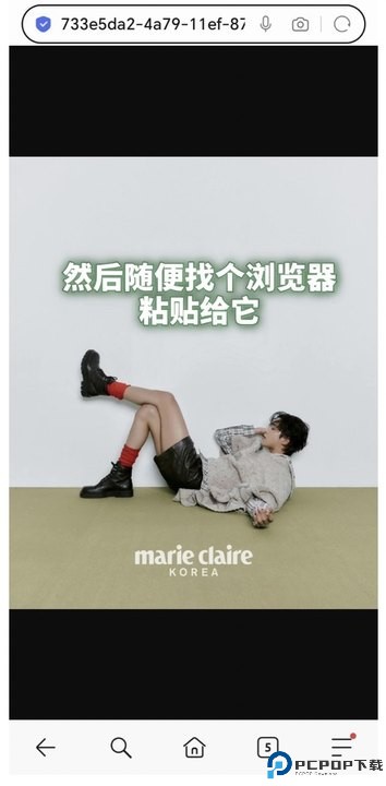 Instagram社交中文版