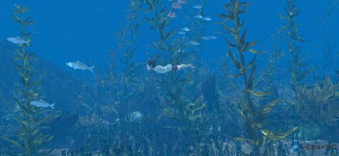 男孩与鹈鹕汉化版免费下载