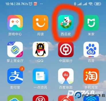 西瓜皮
