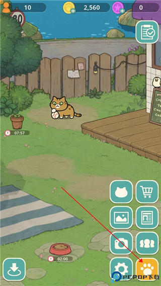 神秘猫咪字典中文版