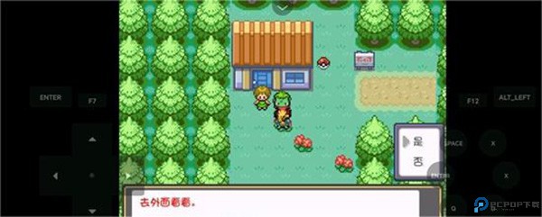 口袋妖怪燃之智汉化版26