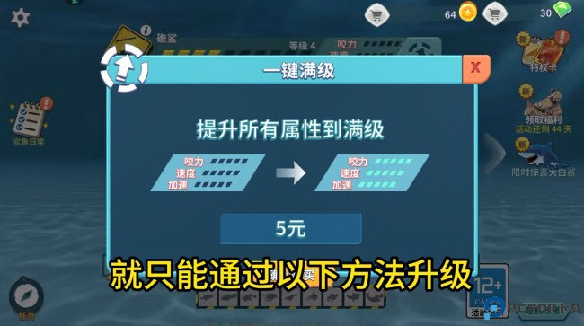 饥饿鲨进化国际版