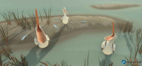 男孩与鹈鹕汉化版免费下载