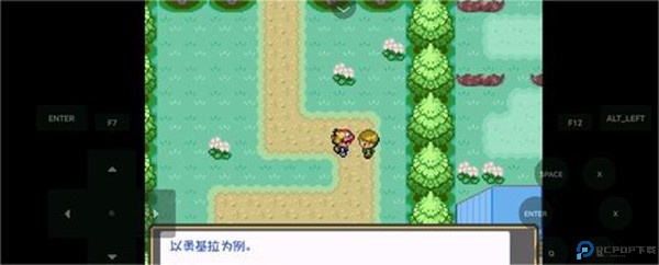 口袋妖怪燃之智汉化版21