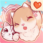 云撸猫咪手游最新版