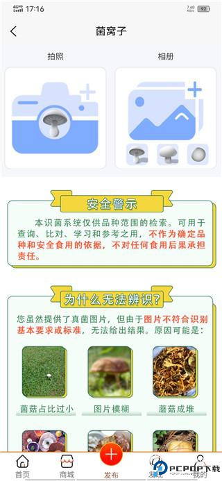 菌窝子
