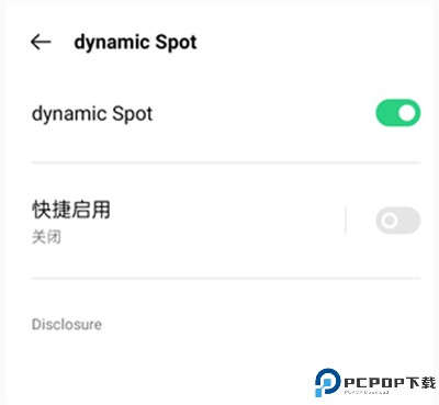 DynamicSpot