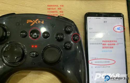小鸡模拟器金手指版