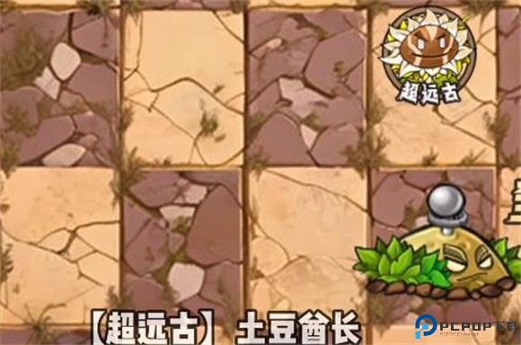 植物大战僵尸神奇植物版5