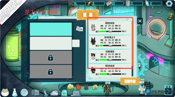 卵生猫之星际海贼团