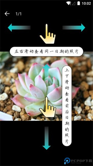 多肉成长记手机版