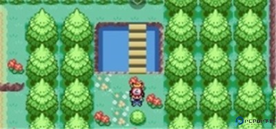 口袋妖怪燃之智汉化版