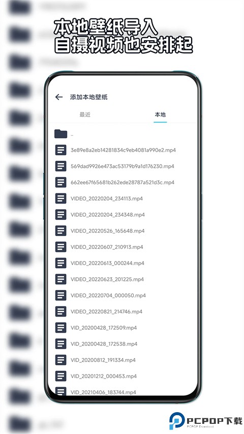 星咩视频壁纸最新版