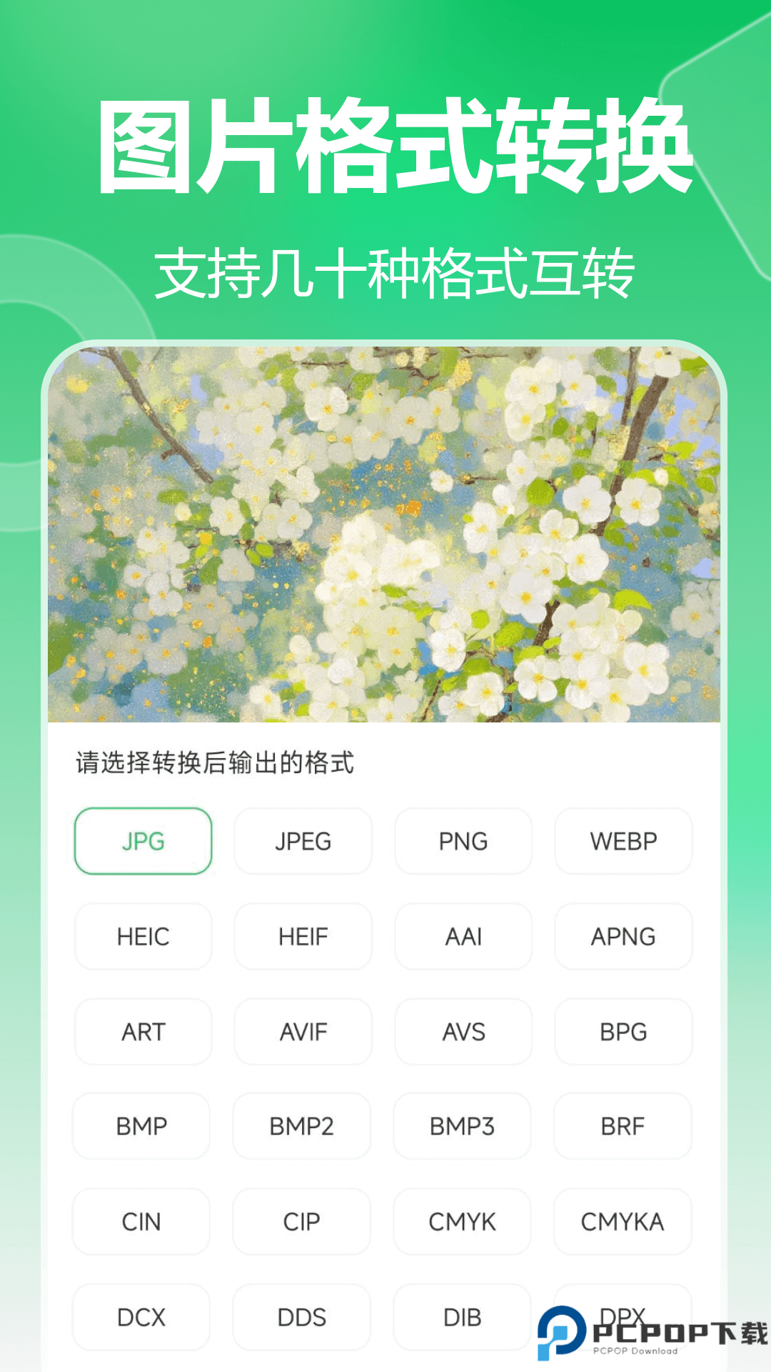池鱼图片格式转换手机版