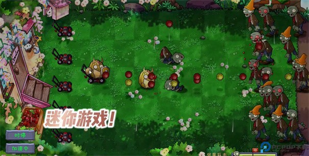 植物大战僵尸共生版