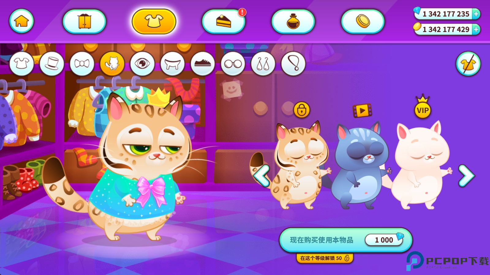 我的虚拟宠物猫