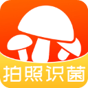 菌窝子最新版