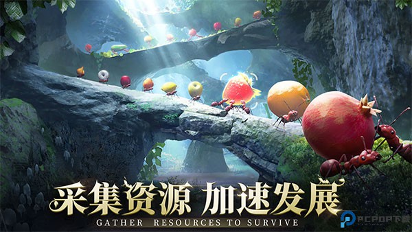 小小蚁国国际服免费下载