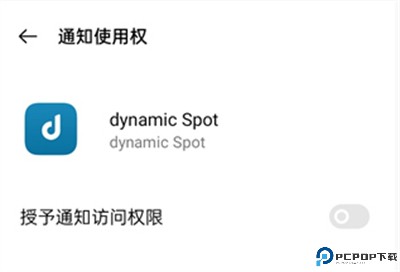 DynamicSpot