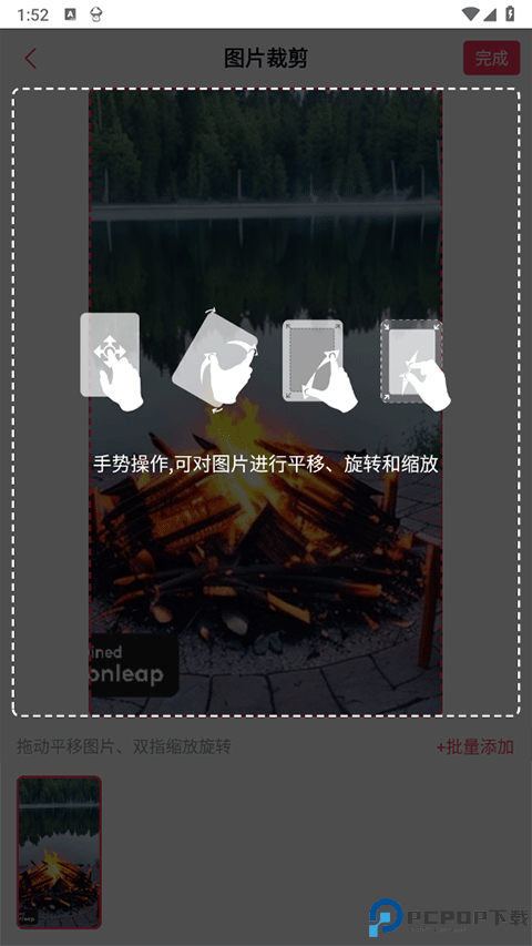 羞兔动态壁纸免费版