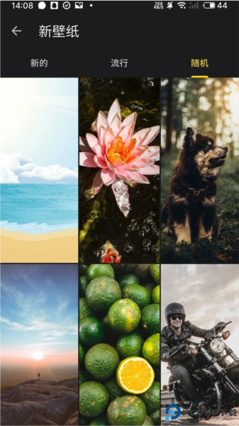 快全全壁纸手机版