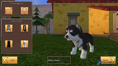 Zoom与动物Zoom免费下载