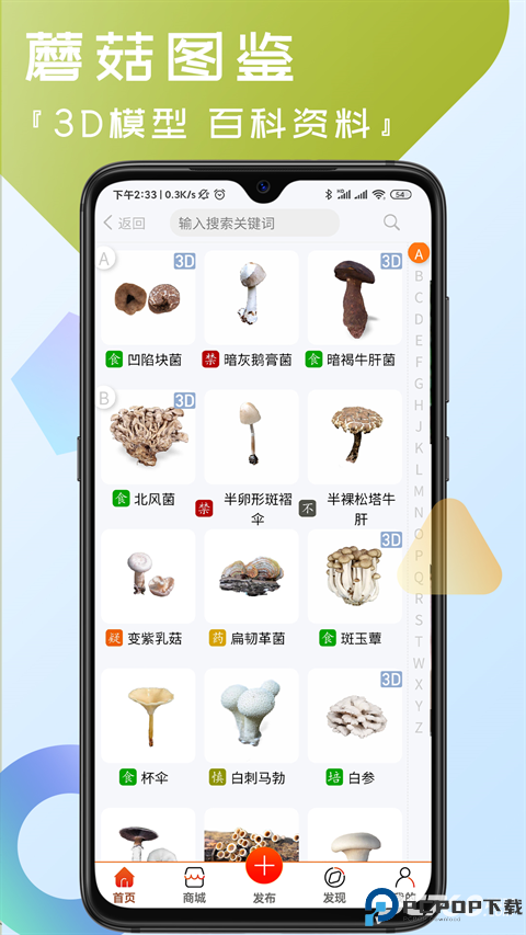 菌窝子