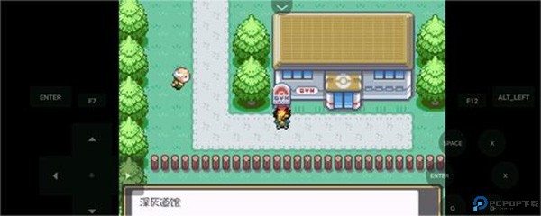 口袋妖怪燃之智汉化版24