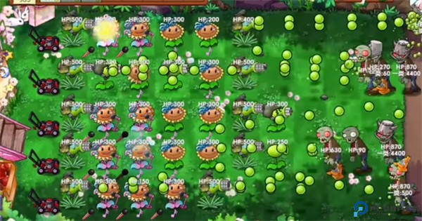 植物大战僵尸共生版