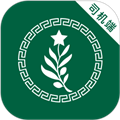 橄榄绿司机最新版