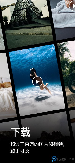 Pexels手机版最新版