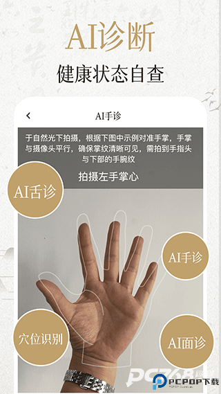 中济经络穴位