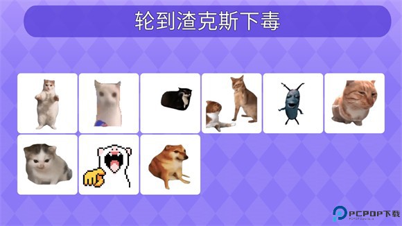 女巫的毒药猫meme版