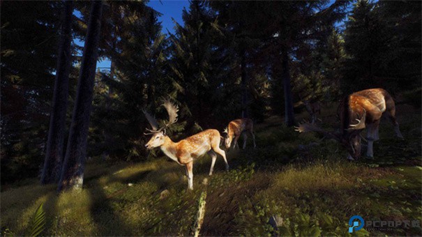 猎人之路手游最新版