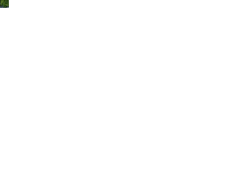 惩罚者街机游戏