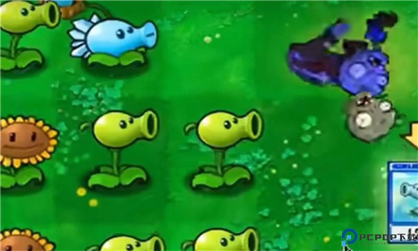 植物大战僵尸抽卡版手游最新版